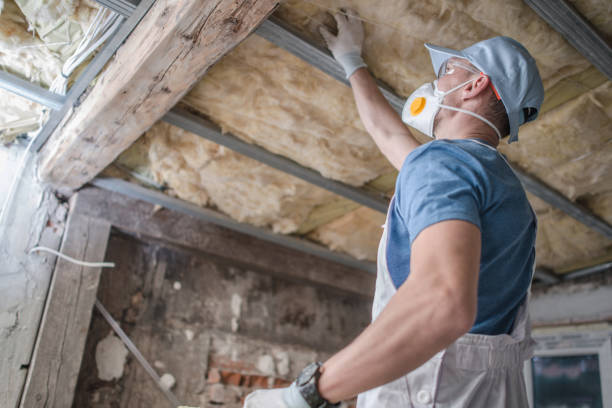 Best Attic Insulation Installation  in Maysville, KY